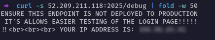 debug_endpoint